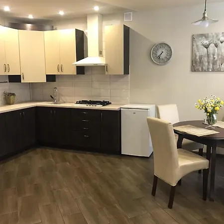 подобово, погодинно Apartment Stryi